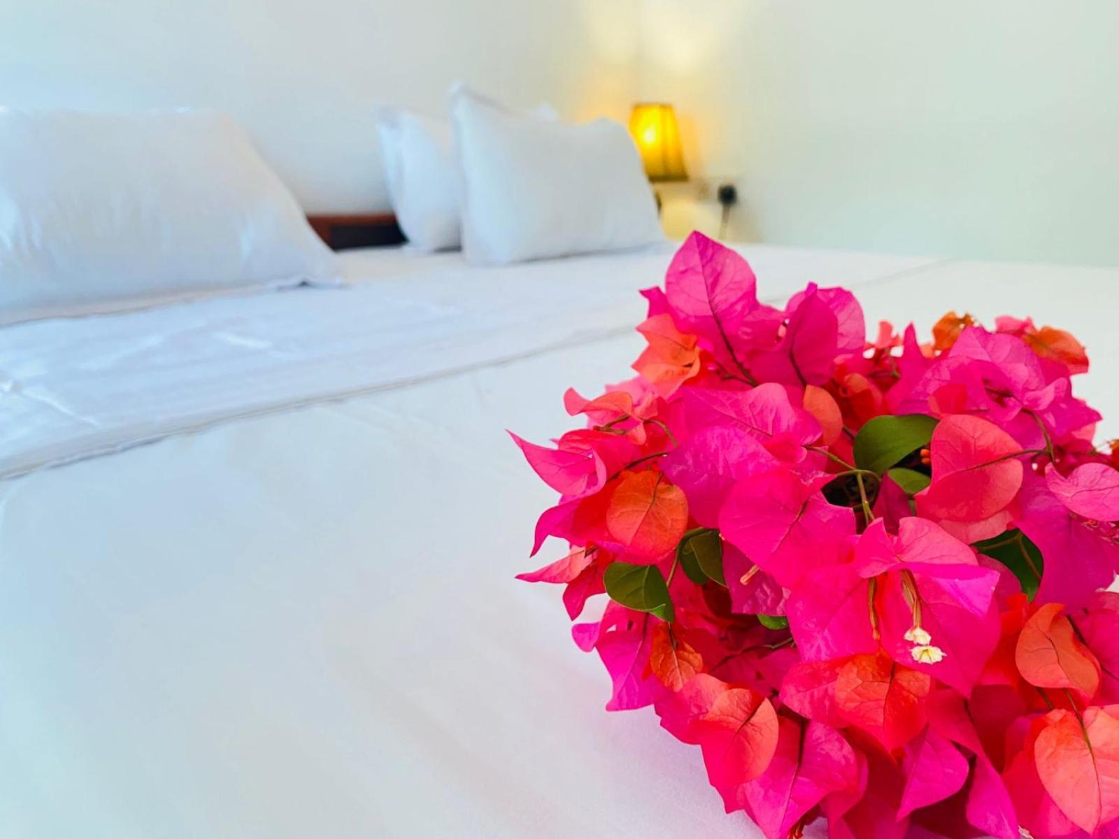 Hotel Aaliya Bay Arugam Bay Zewnętrze zdjęcie
